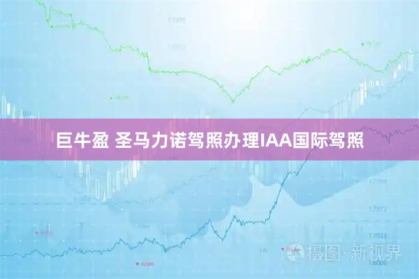 巨牛盈 圣马力诺驾照办理IAA国际驾照